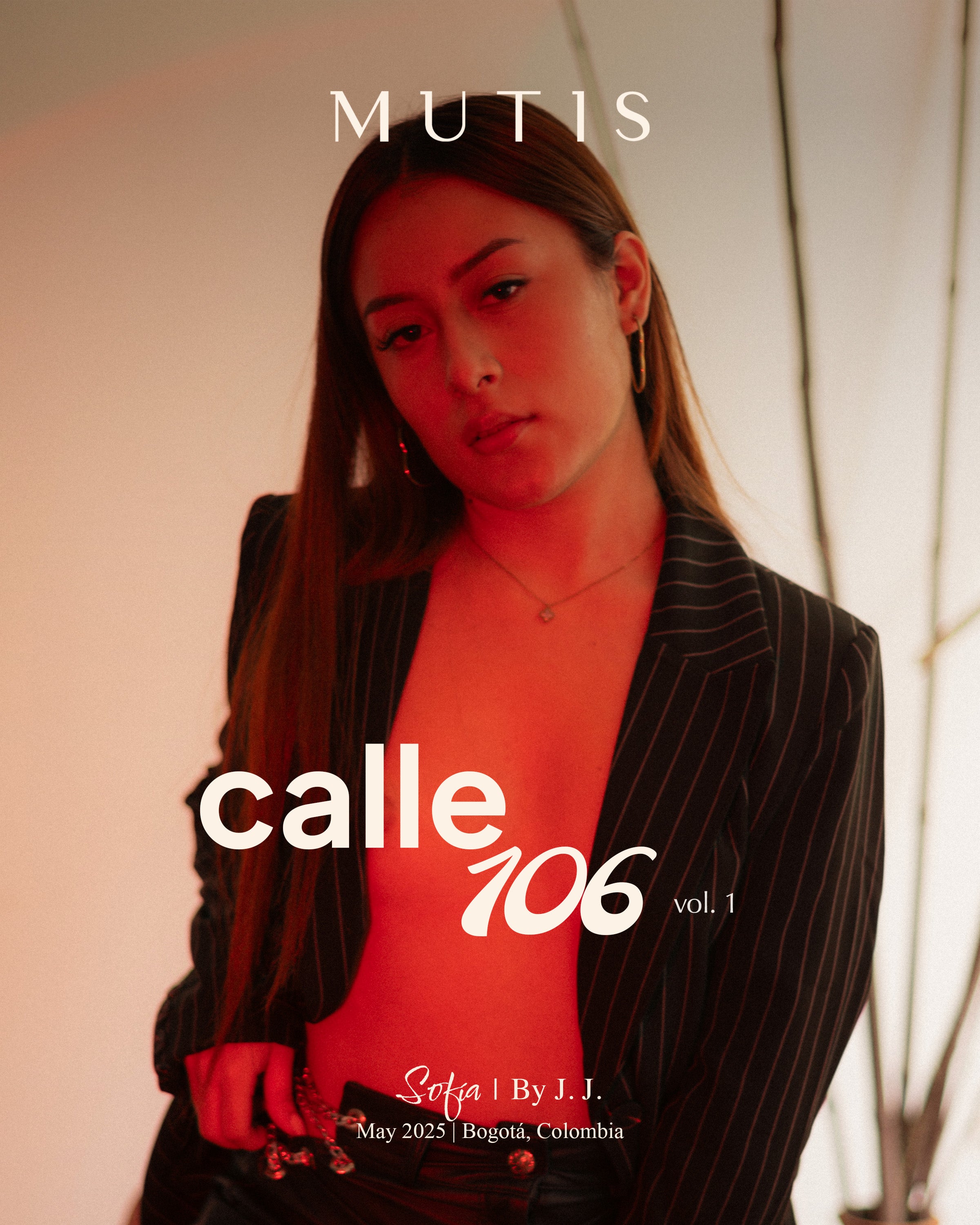 Calle 106 (sofiapreciado)