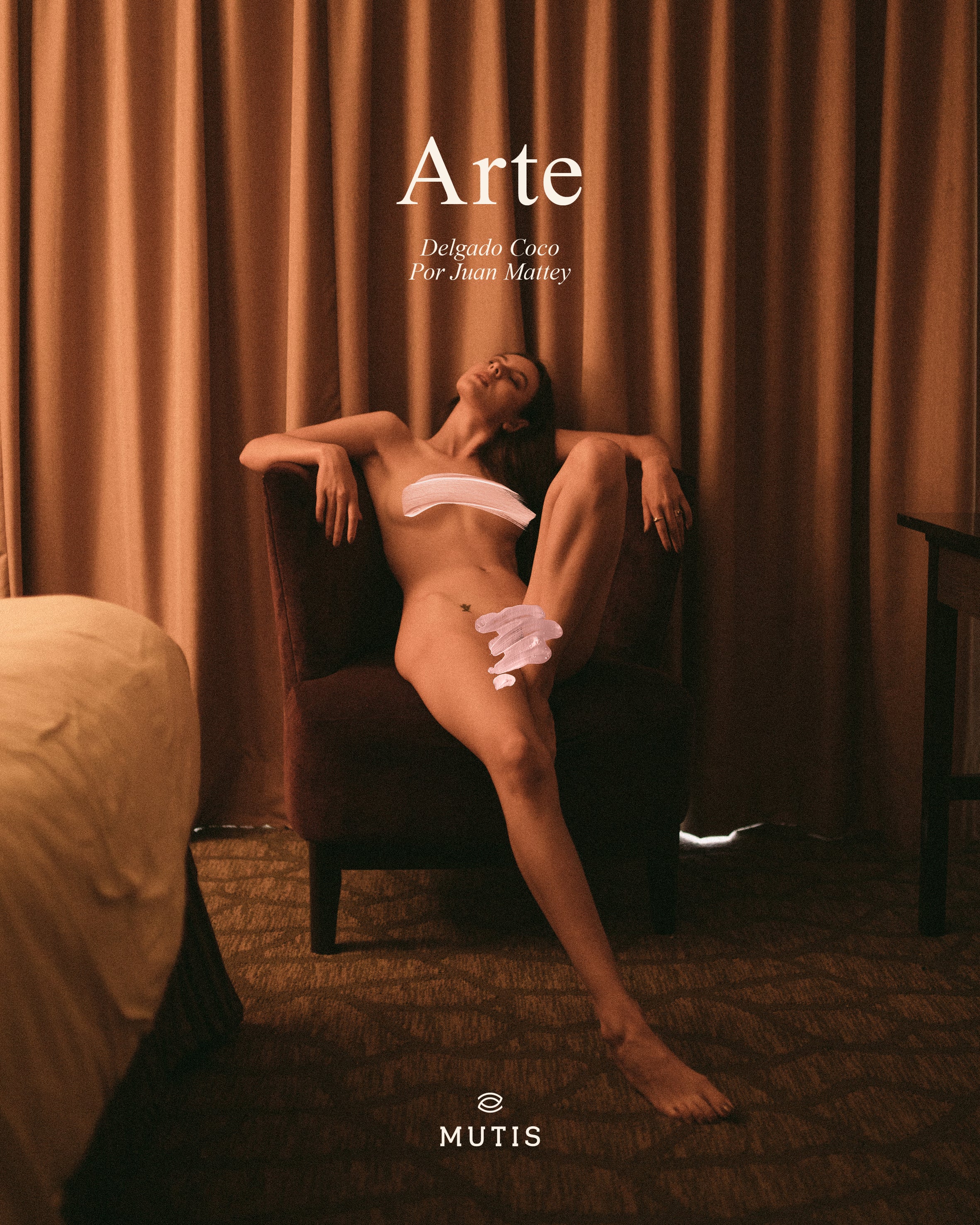 Arte (insitu__)